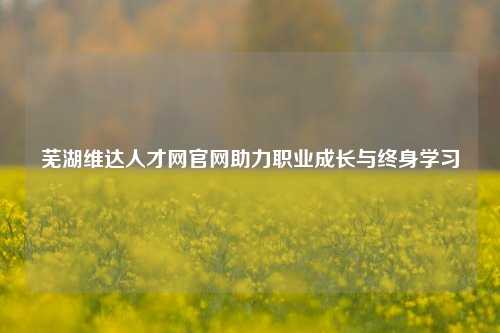 芜湖维达人才网官网助力职业成长与终身学习