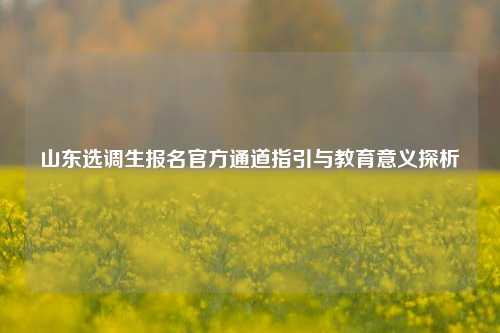山东选调生报名官方通道指引与教育意义探析