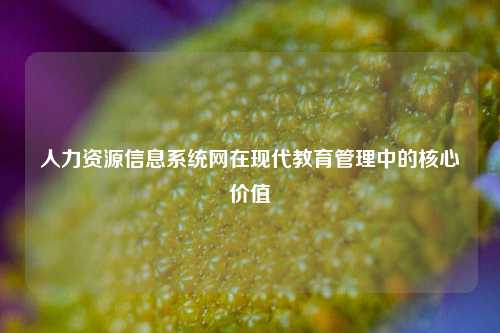 人力资源信息系统网在现代教育管理中的核心价值