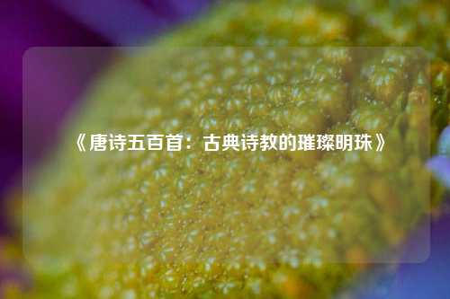 《唐诗五百首：古典诗教的璀璨明珠》