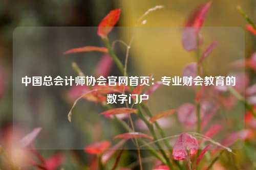 中国总会计师协会官网首页：专业财会教育的数字门户