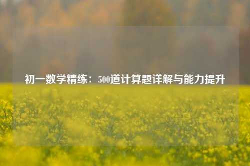 初一数学精练：500道计算题详解与能力提升