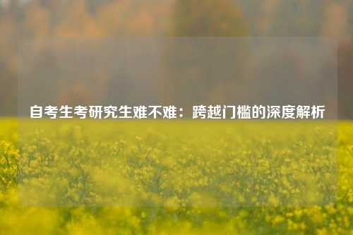 自考生考研究生难不难：跨越门槛的深度解析