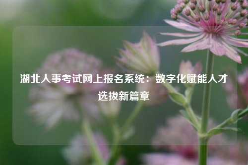 湖北人事考试网上报名系统：数字化赋能人才选拔新篇章