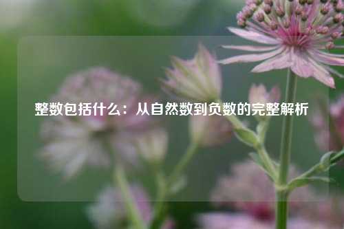 整数包括什么：从自然数到负数的完整解析