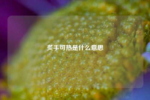 炙手可热是什么意思