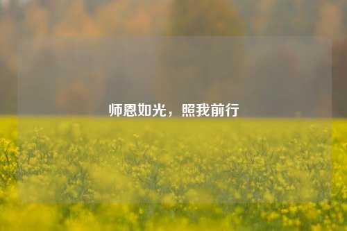 师恩如光，照我前行